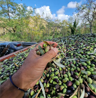 Natürlich organisch